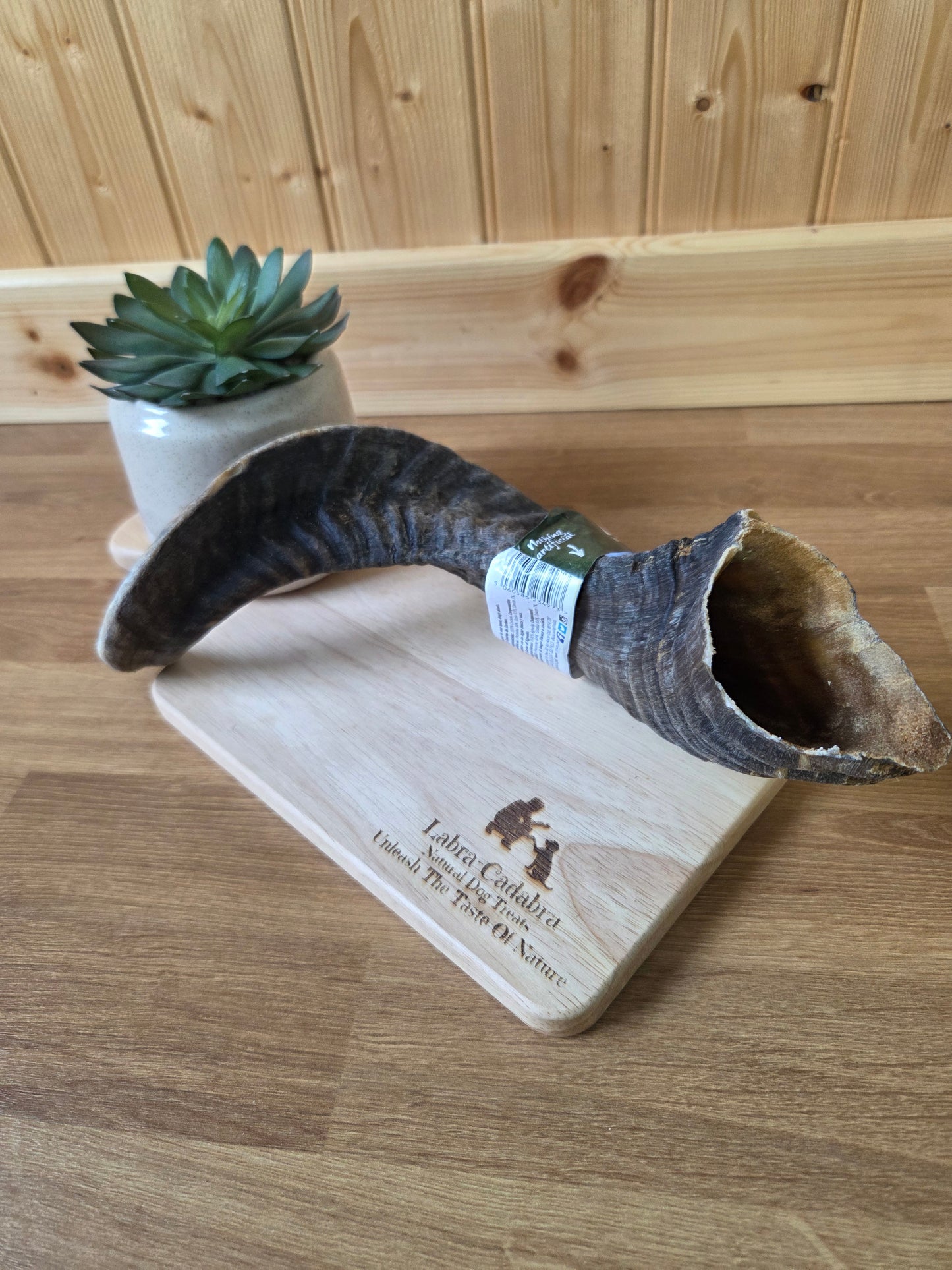 Lamb Horns