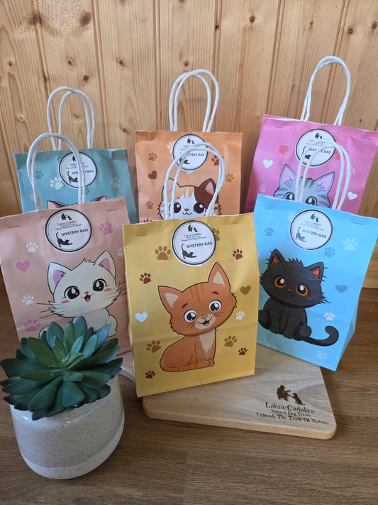 Cat Mystery Bags