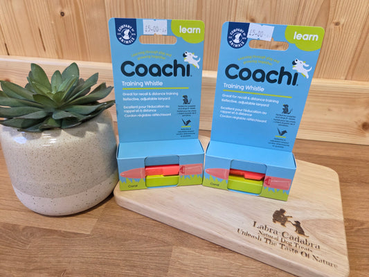 Coachi Dog Training Whistle