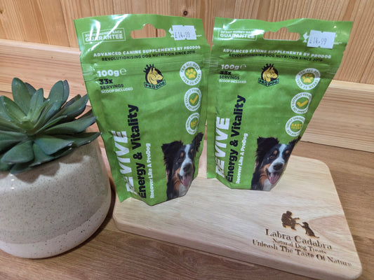 Revive Energy Supplement For Dogs