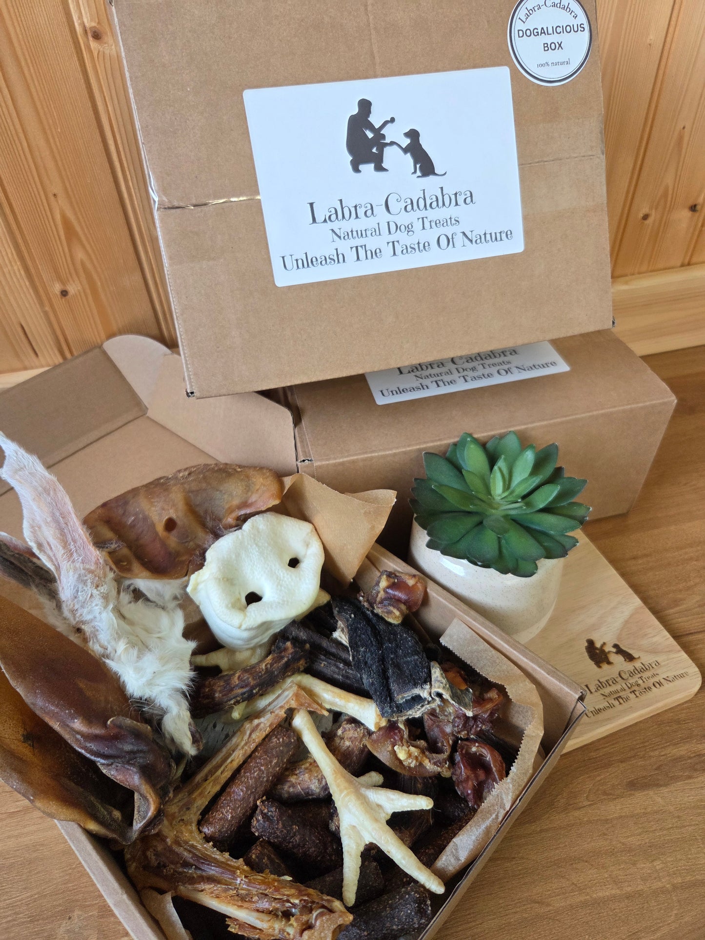 NEW & IMPROVED Dogalicious Box