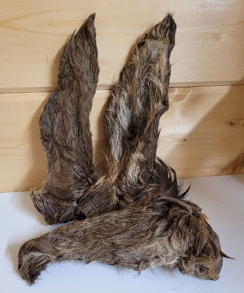 Hairy Venison Ear